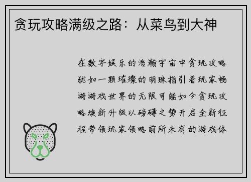 贪玩攻略满级之路：从菜鸟到大神